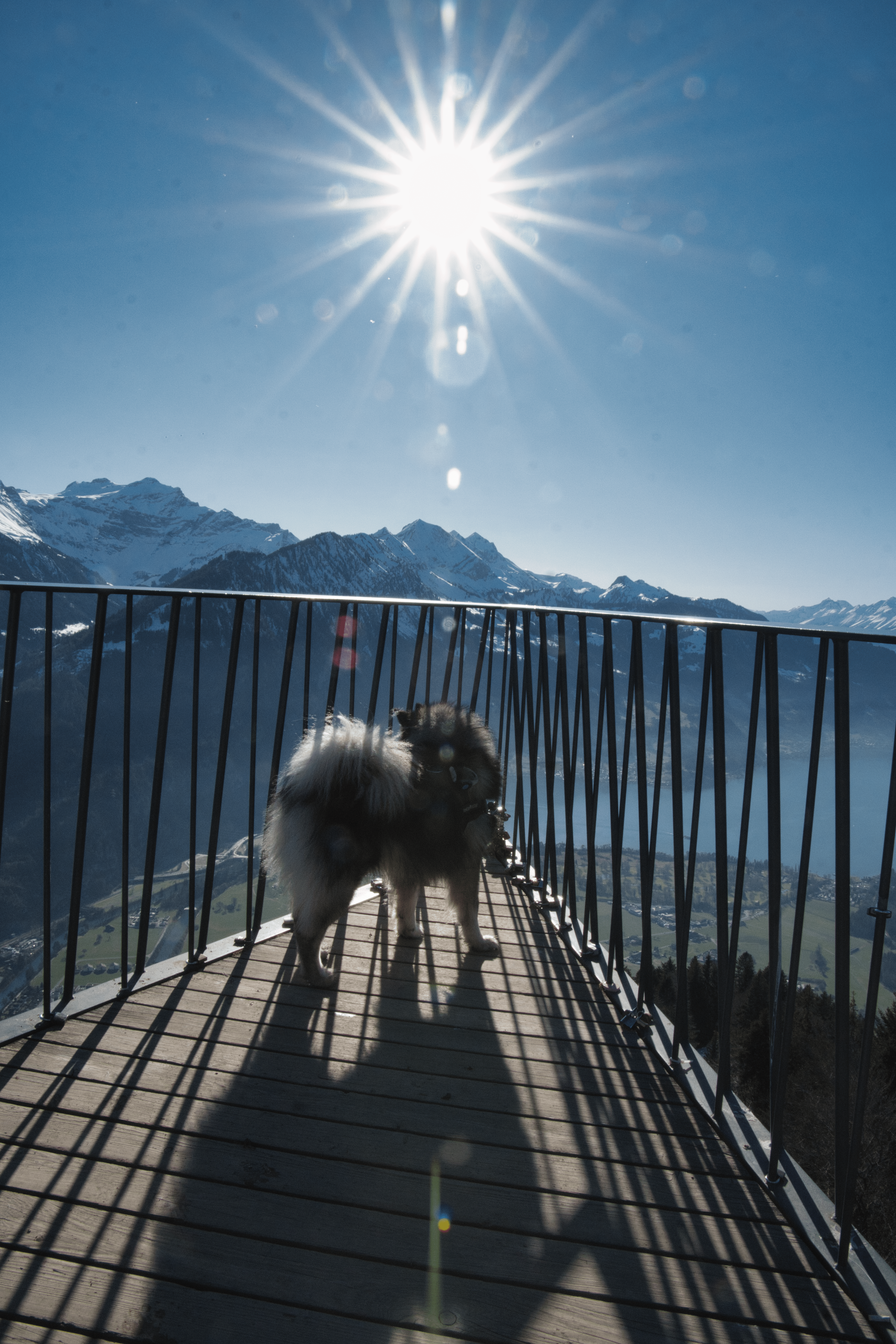 Q genießt die Aussicht